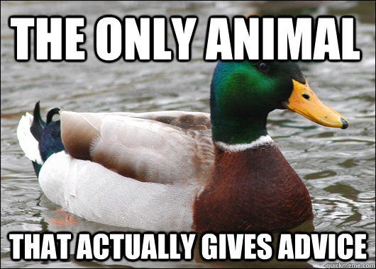 The only animal that actually gives advice  Actual Advice Mallard