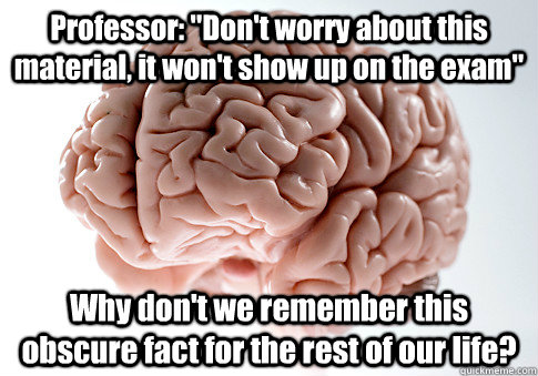 Professor: 