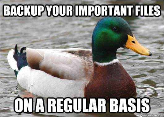 BACKUP YOUR IMPORTANT FILES ON A REGULAR BASIS  Actual Advice Mallard