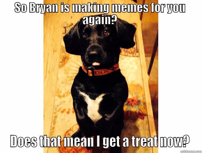 SO BRYAN IS MAKING MEMES FOR YOU AGAIN? DOES THAT MEAN I GET A TREAT NOW? Misc