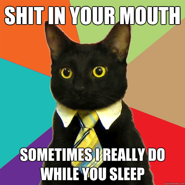 shit in your mouth sometimes i really do while you sleep - shit in your mouth sometimes i really do while you sleep  Business Cat