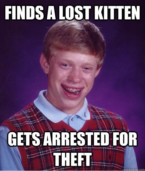 Finds a lost kitten Gets arrested for theft - Finds a lost kitten Gets arrested for theft  Bad Luck Brian