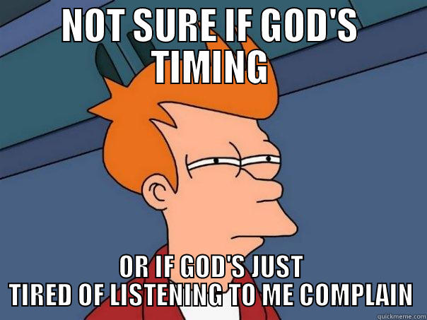 NOT SURE IF GOD'S TIMING OR IF GOD'S JUST TIRED OF LISTENING TO ME COMPLAIN Futurama Fry