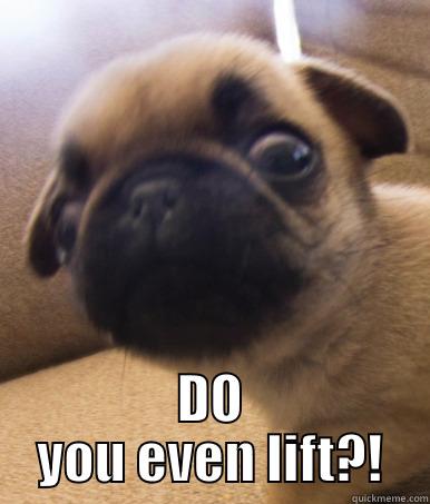  DO YOU EVEN LIFT?! Misc