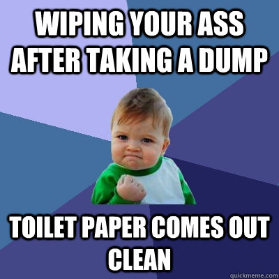 wiping your ass after taking a dump toilet paper comes out clean  Success Kid