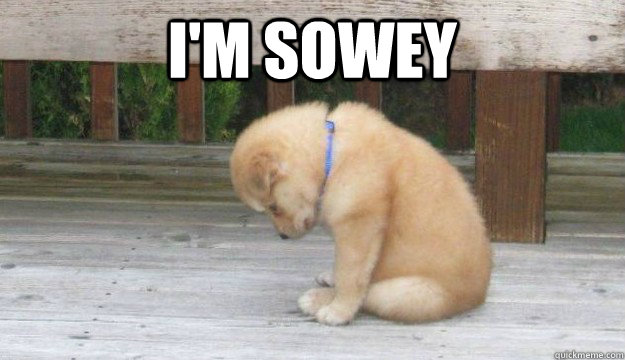 I'M SOWEY   SORRY PUPPY