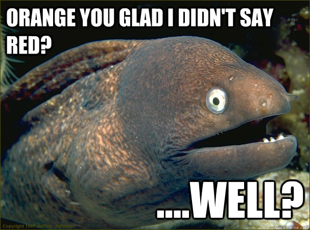 orange you glad i didn't say red? ....well? - orange you glad i didn't say red? ....well?  Bad Joke Eel