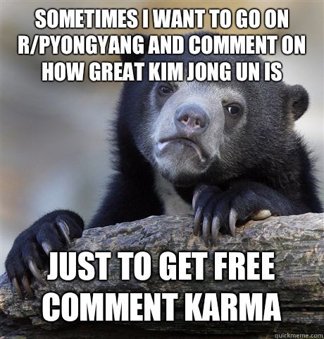 SOMETIMES I WANT TO GO ON R/PYONGYANG AND COMMENT ON HOW GREAT KIM JONG UN IS  JUST TO GET FREE COMMENT KARMA   Confession Bear