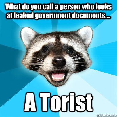What do you call a person who looks at leaked government documents.... A Torist  Lame Pun Coon