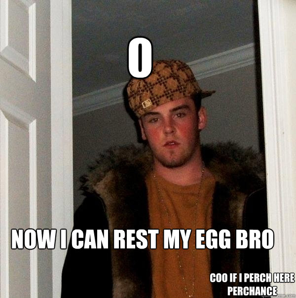 now i can rest my egg bro 0 coo if i perch here perchance  Scumbag Steve