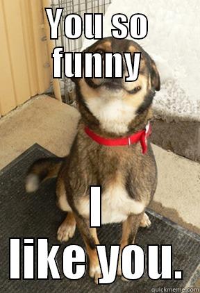 YOU SO FUNNY I LIKE YOU. Good Dog Greg