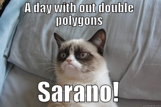 A DAY WITH OUT DOUBLE POLYGONS SARANO! Grumpy Cat