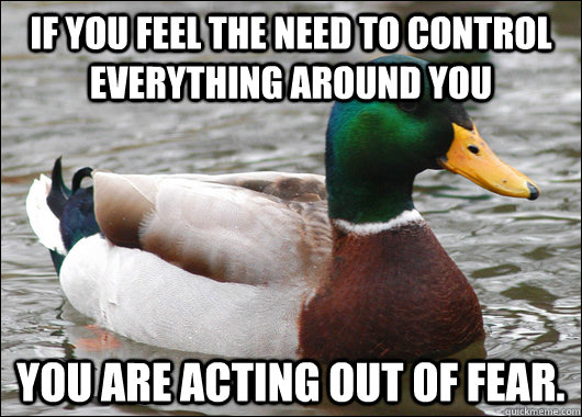 If you feel the need to control everything around you You are acting out of fear.   Actual Advice Mallard