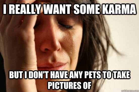 I really want some karma  but i don't have any pets to take pictures of  First World Problems
