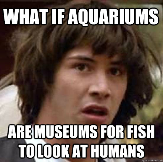 What if aquariums  are museums for fish to look at humans  conspiracy keanu