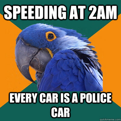 Speeding at 2AM Every car is a police car  Paranoid Parrot