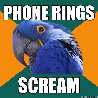 PHONE RINGS SCREAM  Paranoid Parrot
