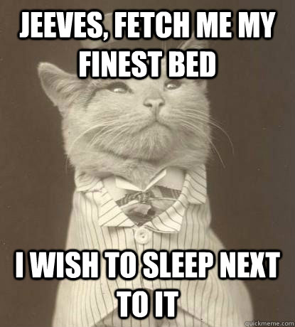 Jeeves, fetch me my finest bed I wish to sleep next to it  Aristocat