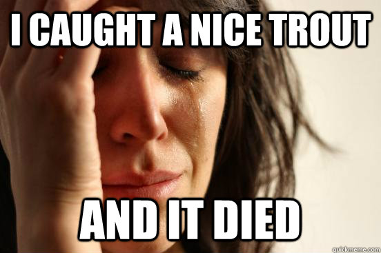 I caught a nice trout and it died  First World Problems