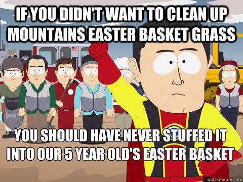 If you didn't want to clean up mountains Easter basket grass you should have never stuffed it into our 5 year old's Easter basket  Captain Hindsight