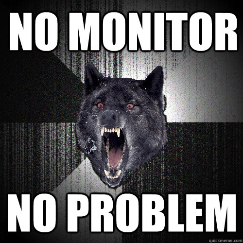 no monitor no problem  Insanity Wolf