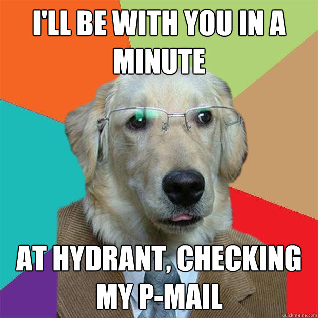 I'll be with you in a minute At hydrant, checking my p-mail  Business Dog