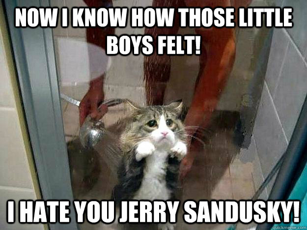 Now I know how those little boys felt! I hate you Jerry Sandusky!  Shower kitty