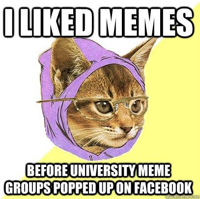 I liked memes before university meme groups popped up on facebook  Hipster Kitty