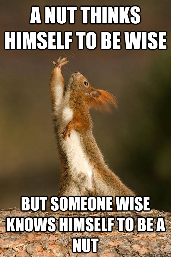 A Nut thinks himself to be wise But someone wise knows himself to be a Nut  