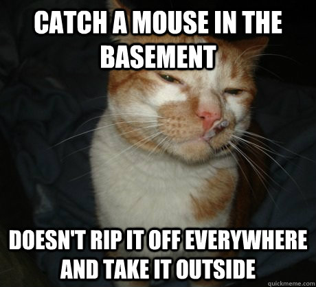 Catch a mouse in the  basement Doesn't rip it off everywhere and take it outside  Good Cat Greg