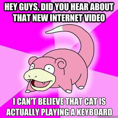 Hey guys, did you hear about that new internet video I can't believe that cat is actually playing a keyboard  Slowpoke