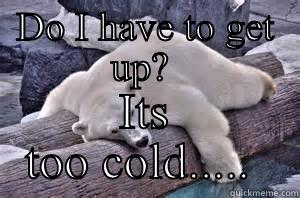 DO I HAVE TO GET UP?  ITS TOO COLD.....  Misc