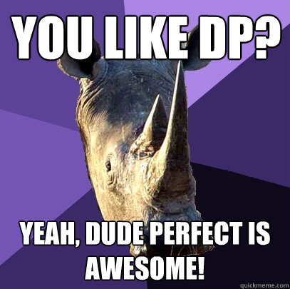 You like DP? YEAH, dude perfect is awesome! - You like DP? YEAH, dude perfect is awesome!  Sexually Oblivious Rhino