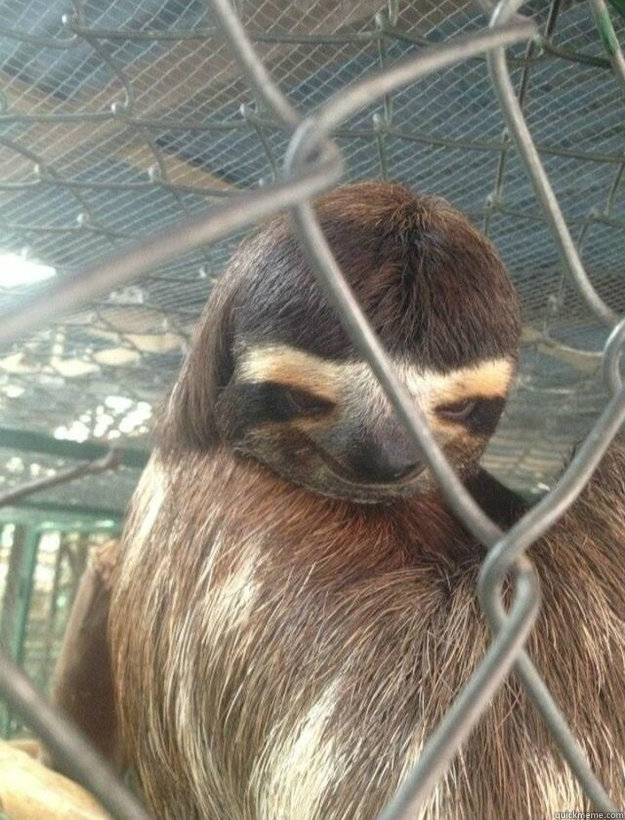    Creepy Sloth