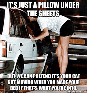 It's just a pillow under the sheets But we can pretend it's your cat not moving when you made your bed if that's what you're into.   Karma Whore