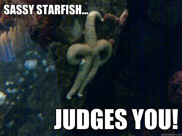 Sassy Starfish... Judges you!  Sassy Starfish
