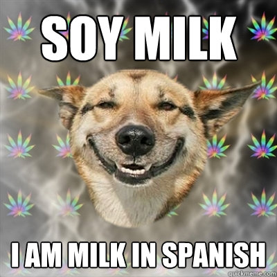 soy milk I am milk in spanish - soy milk I am milk in spanish  Stoner Dog