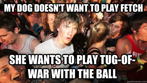 My dog doesn't want to play fetch She wants to play tug-of-war with the ball  Sudden Clarity Clarence