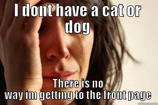 I DONT HAVE A CAT OR DOG THERE IS NO WAY IM GETTING TO THE FRONT PAGE First World Problems
