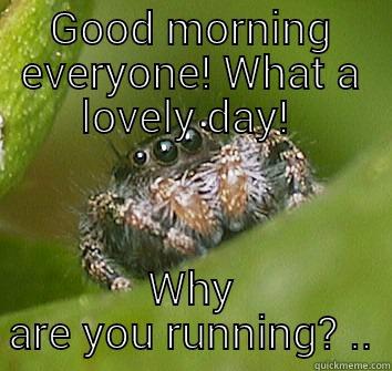 GOOD MORNING EVERYONE! WHAT A LOVELY DAY!  WHY ARE YOU RUNNING? .. Misunderstood Spider
