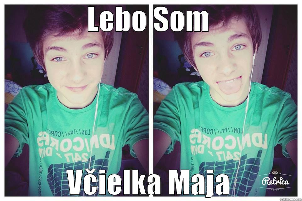 LEBO SOM VČIELKA MAJA Misc