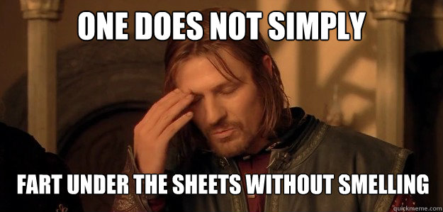 ONE does not simply Fart under the sheets without smelling it  