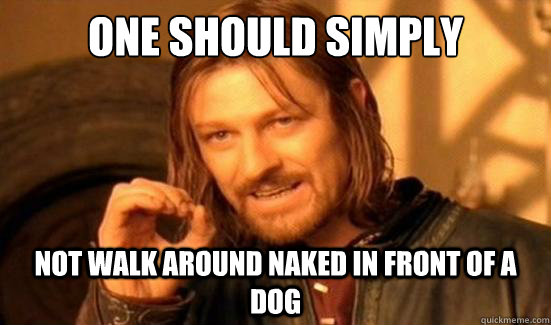 one should simply not walk around naked in front of a dog  Boromir