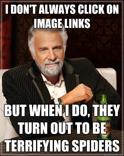 I don't always click on image links But when I do, they turn out to be terrifying spiders  The Most Interesting Man In The World