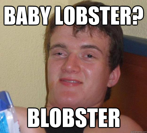 Baby lobster? Blobster - Baby lobster? Blobster  10 Guy