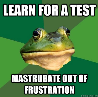 learn for a test mastrubate out of frustration  Foul Bachelor Frog