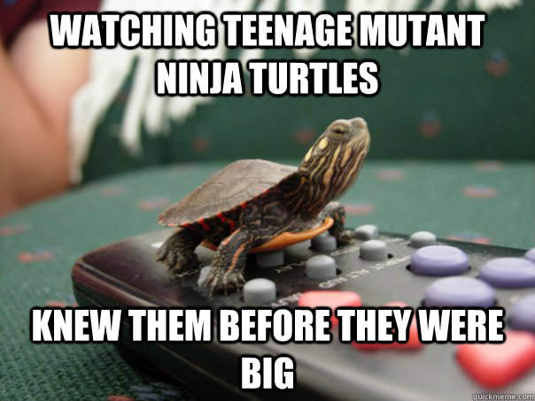 Watching Teenage mutant ninja turtles knew them before they were big  