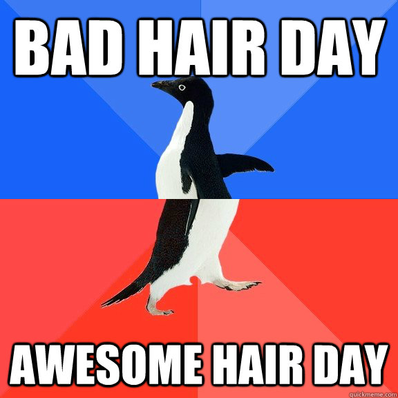 BAD HAIR DAY AWESOME HAIR DAY  Socially Awkward Awesome Penguin