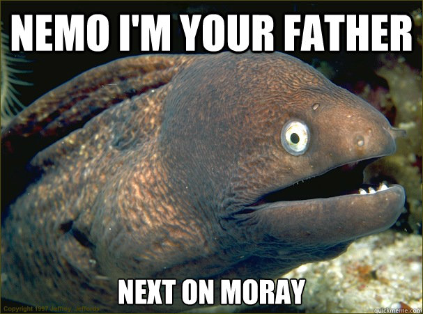 nemo i'm your father next on moray - nemo i'm your father next on moray  Bad Joke Eel