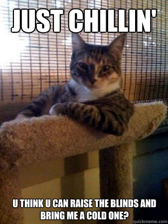just chillin' u think u can raise the blinds and bring me a cold one?  The Most Interesting Cat in the World